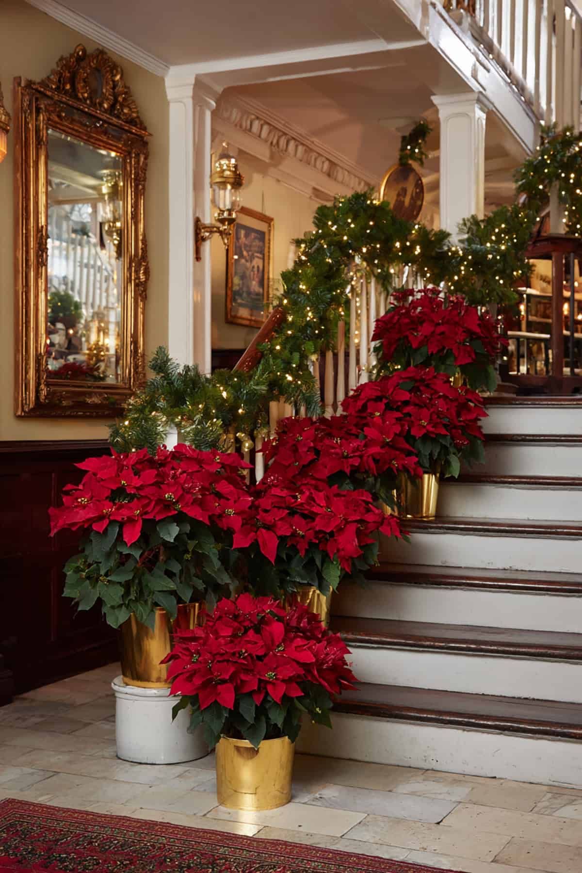 Poinsettia staircase